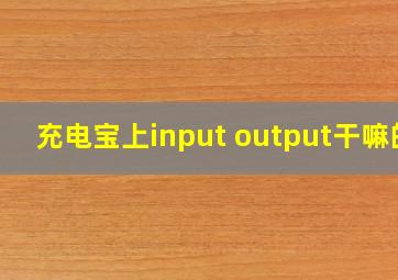 充电宝上input output干嘛的